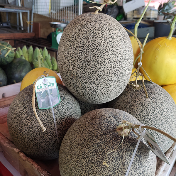 Dưa lưới xanh Nhật